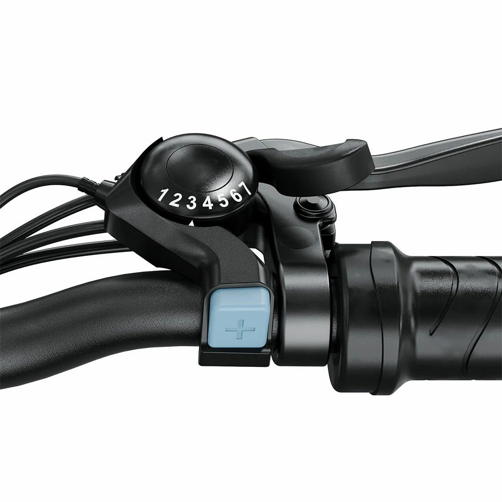 iSinwheel M10 (EU) Electric Bike