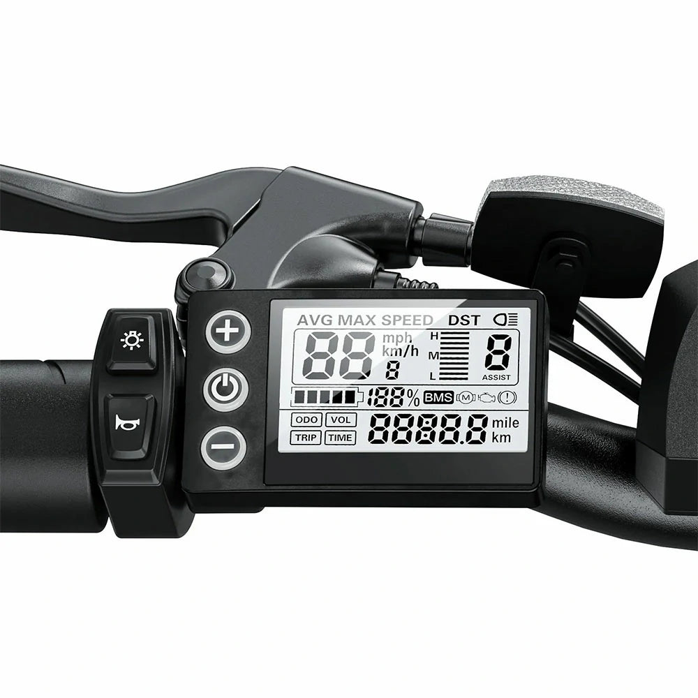 iSinwheel M10 (EU) Electric Bike