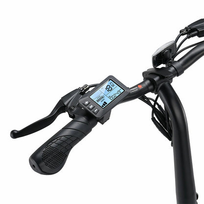 iSinwheel U1 (EU) Electric Bike