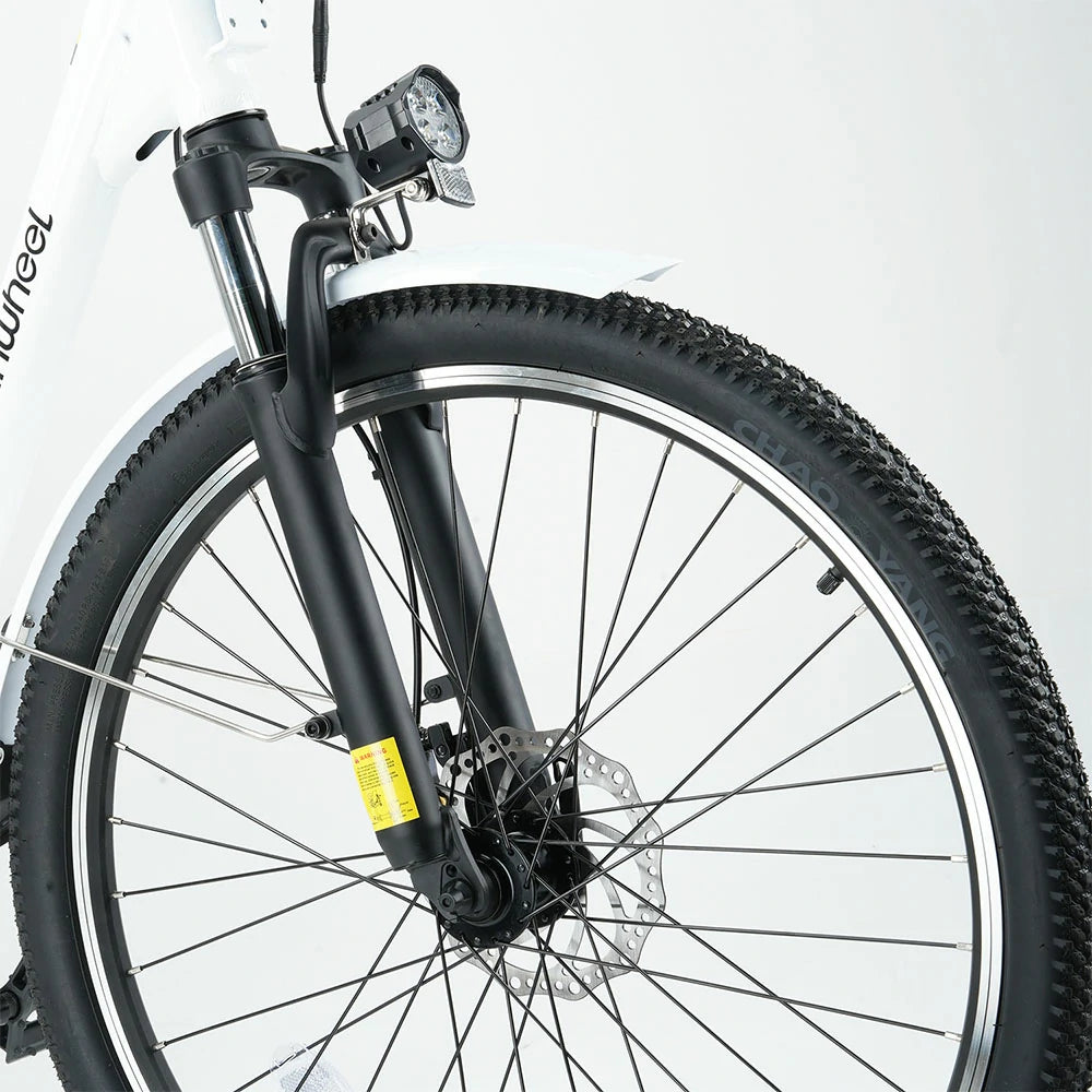 iSinwheel U2 (EU) Electric Bike